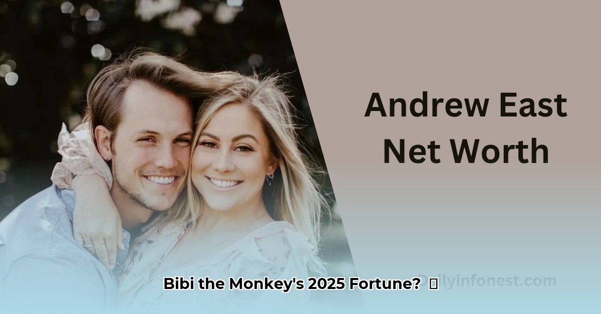 bibi-the-monkey-net-worth-in-dollars